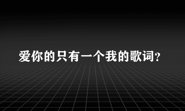 爱你的只有一个我的歌词？