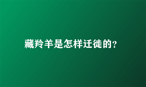 藏羚羊是怎样迁徙的？