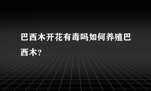 巴西木开花有毒吗如何养殖巴西木？