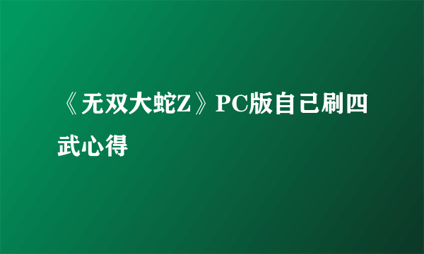 《无双大蛇Z》PC版自己刷四武心得