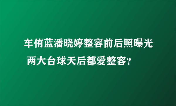 车侑蓝潘晓婷整容前后照曝光 两大台球天后都爱整容？