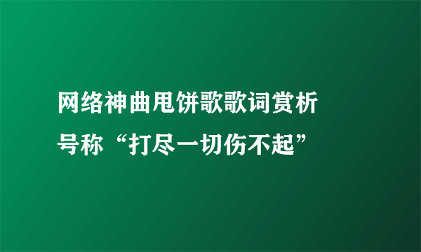 网络神曲甩饼歌歌词赏析     号称“打尽一切伤不起”