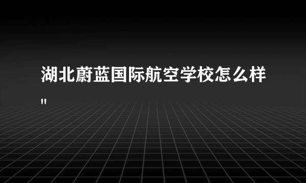 湖北蔚蓝国际航空学校怎么样