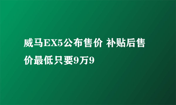 威马EX5公布售价 补贴后售价最低只要9万9