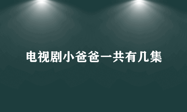 电视剧小爸爸一共有几集