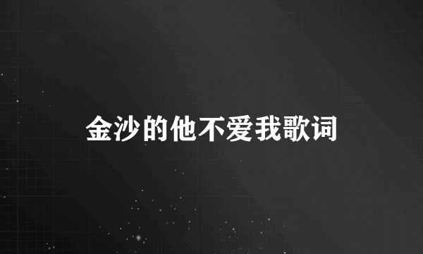 金沙的他不爱我歌词