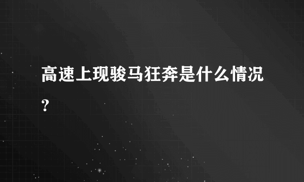 高速上现骏马狂奔是什么情况？