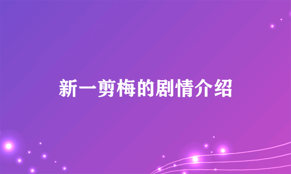 新一剪梅的剧情介绍