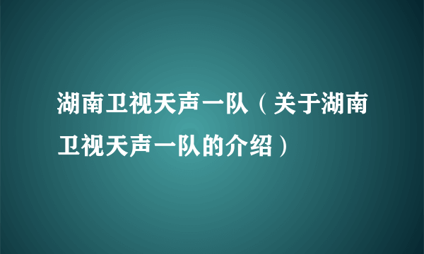 湖南卫视天声一队（关于湖南卫视天声一队的介绍）