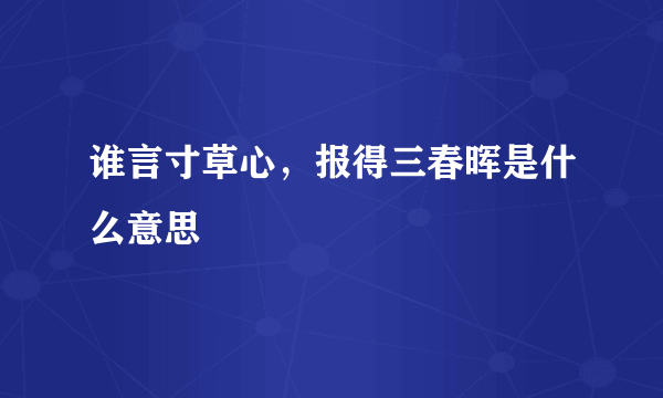 谁言寸草心，报得三春晖是什么意思