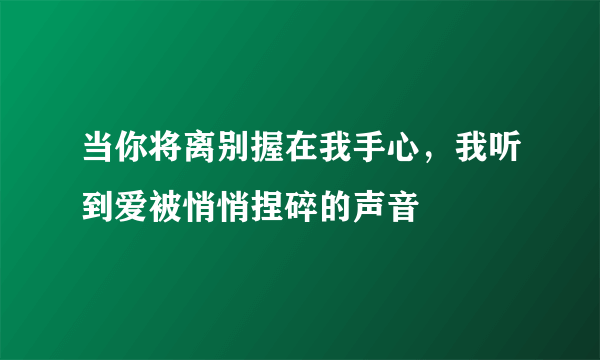 当你将离别握在我手心，我听到爱被悄悄捏碎的声音