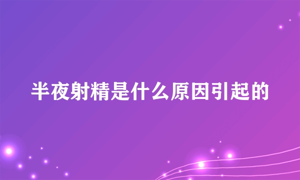 半夜射精是什么原因引起的