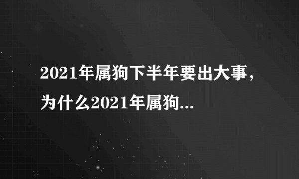 2021年属狗下半年要出大事，为什么2021年属狗的是一个坎？