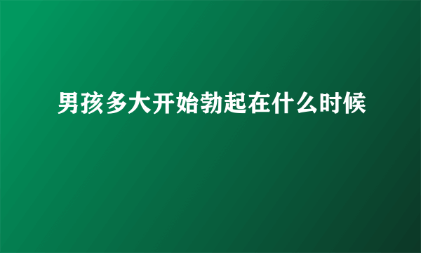 男孩多大开始勃起在什么时候