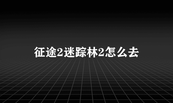 征途2迷踪林2怎么去