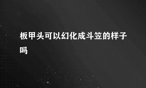 板甲头可以幻化成斗笠的样子吗