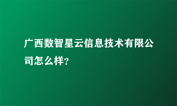 广西数智星云信息技术有限公司怎么样？