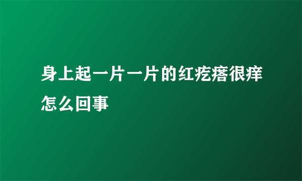 身上起一片一片的红疙瘩很痒怎么回事