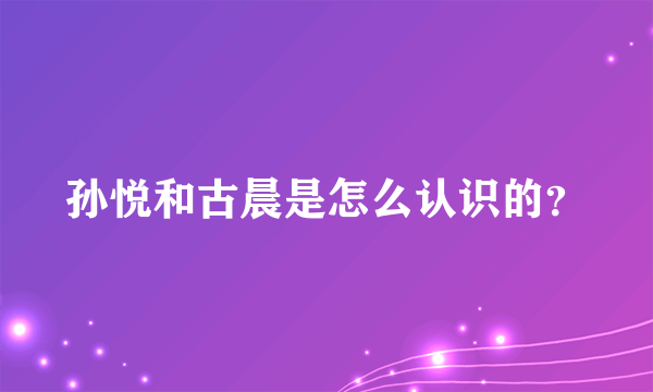 孙悦和古晨是怎么认识的？