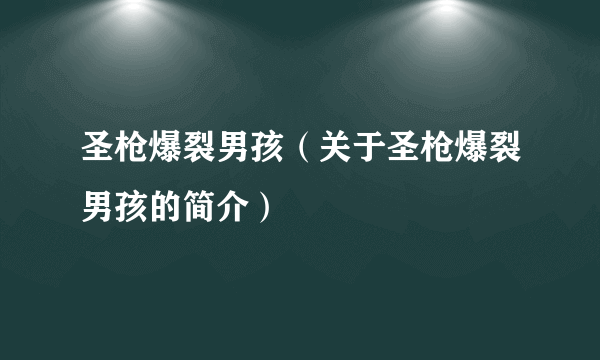 圣枪爆裂男孩（关于圣枪爆裂男孩的简介）