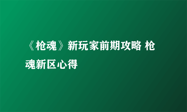 《枪魂》新玩家前期攻略 枪魂新区心得