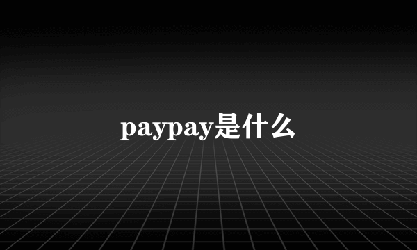 paypay是什么