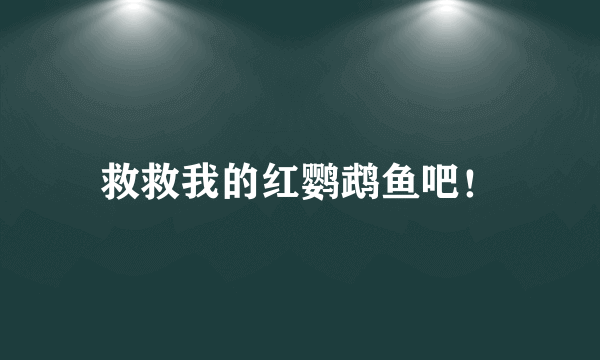 救救我的红鹦鹉鱼吧！