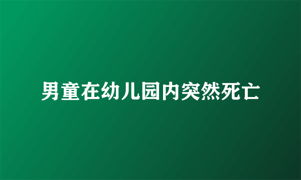 男童在幼儿园内突然死亡