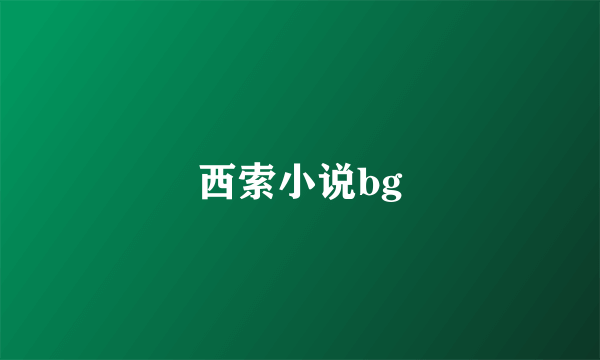 西索小说bg