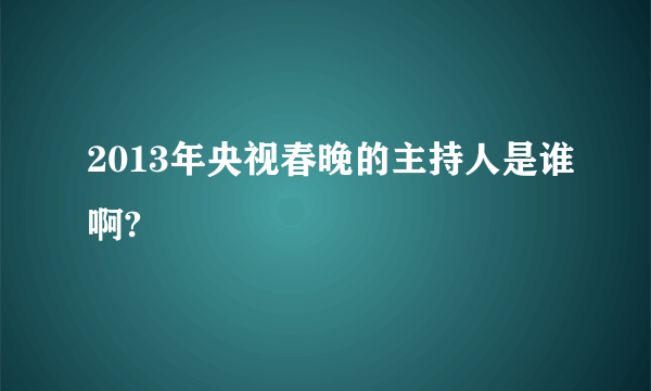 2013年央视春晚的主持人是谁啊?