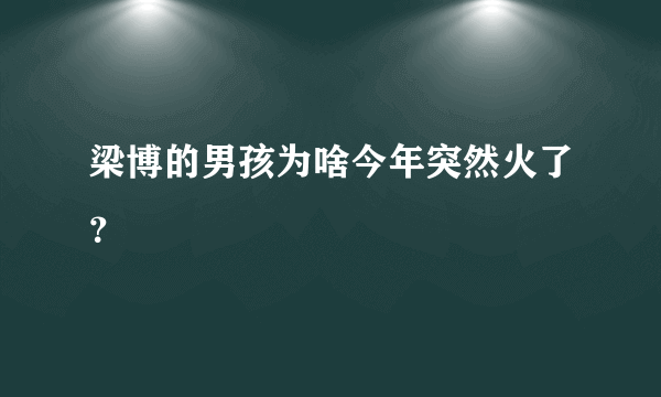 梁博的男孩为啥今年突然火了？