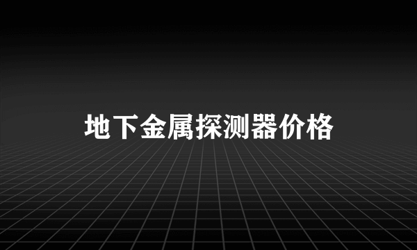 地下金属探测器价格