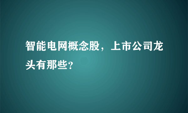 智能电网概念股，上市公司龙头有那些？