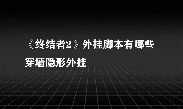 《终结者2》外挂脚本有哪些 穿墙隐形外挂