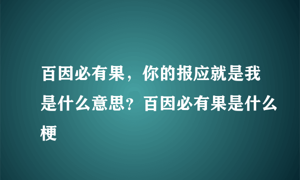 百因必有果，你的报应就是我是什么意思？百因必有果是什么梗