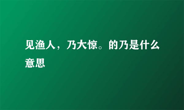 见渔人，乃大惊。的乃是什么意思