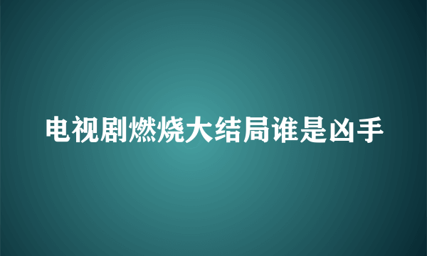 电视剧燃烧大结局谁是凶手