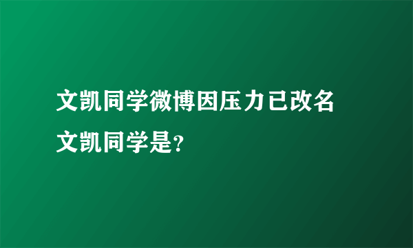 文凯同学微博因压力已改名 文凯同学是？