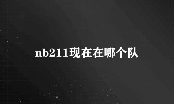 nb211现在在哪个队