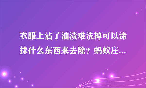 衣服上沾了油渍难洗掉可以涂抹什么东西来去除？蚂蚁庄园今日答案