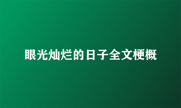 眼光灿烂的日子全文梗概