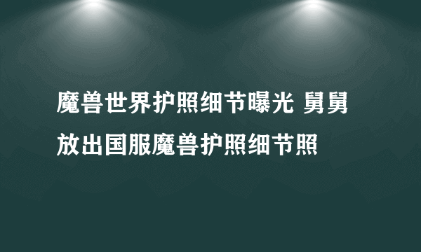 魔兽世界护照细节曝光 舅舅放出国服魔兽护照细节照