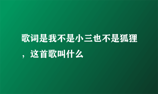 歌词是我不是小三也不是狐狸，这首歌叫什么