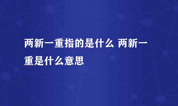 两新一重指的是什么 两新一重是什么意思