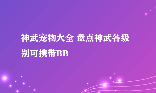 神武宠物大全 盘点神武各级别可携带BB