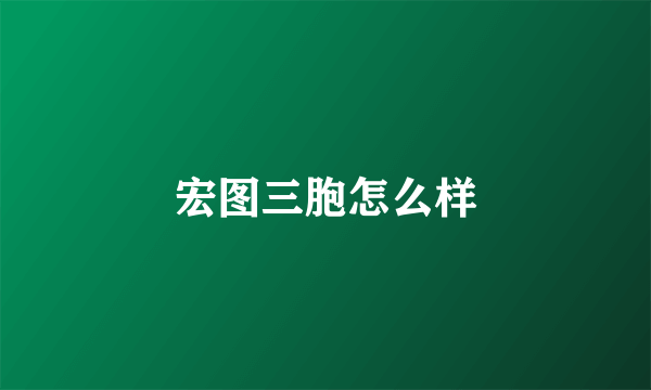 宏图三胞怎么样