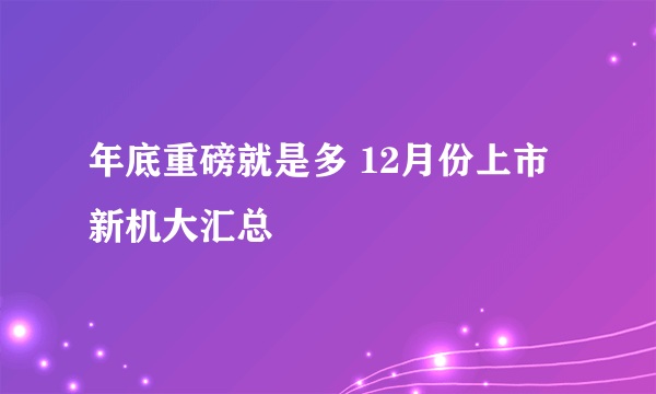 年底重磅就是多 12月份上市新机大汇总