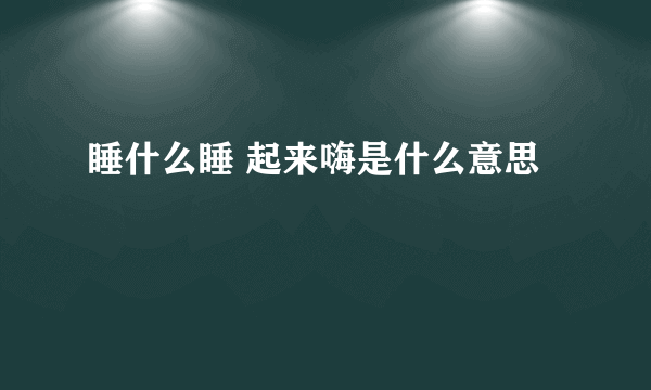 睡什么睡 起来嗨是什么意思