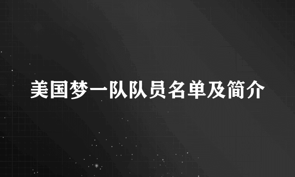 美国梦一队队员名单及简介