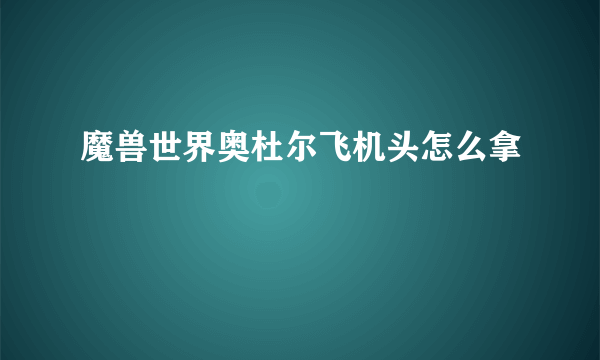 魔兽世界奥杜尔飞机头怎么拿